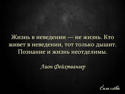 120 цитат про жизнь, которые помогут вдохновиться и задуматься