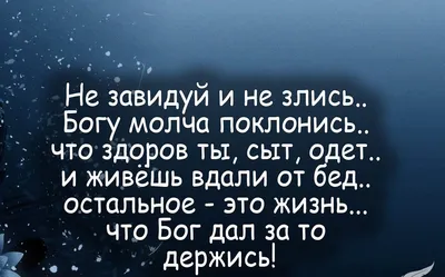 Открытки статусы про жизнь прикольные и смешные с надписями (80 фото) »  Красивые картинки и открытки с поздравлениями, пожеланиями и статусами -  Lubok.club