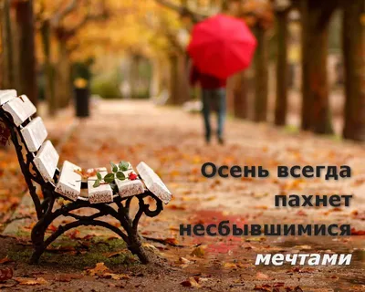 Спокойствие! Это всего лишь осень) Позитивные открытки с юмором!  @otkritkipozdrav #позитив #картинки #статусы.. | ВКонтакте