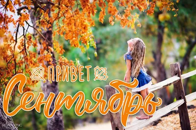 Открытки про осень красивые - фото и картинки: 77 штук