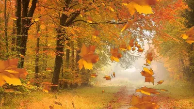 Красивые Цитаты Про Осень Картинки – Telegraph