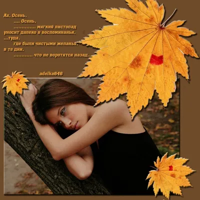 Последний день Осени . | Осенний пейзаж, Осенние картинки, Пейзажи