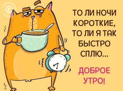 Меместан - Расследование: Где Садыр Жапаров берет картинки про волков? Мы  провели собственное расследование, чтобы узнать откуда президент берет  фантастические картинки про волков. В сторис была ссылка на группу в  Одноклассниках. Она