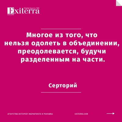 Статусы о сильных женщинах - 📝 Афоризмо.ru