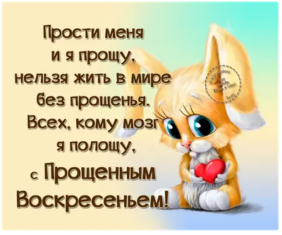 Картинки статус для whatsapp природа (67 фото) » Картинки и статусы про  окружающий мир вокруг