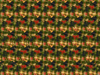 Animals Stereogram Gallery : Scales : Stereogram Images, Games, Video and  Software. All Free! | Magic eye pictures, Magic eye posters, Illusion  pictures