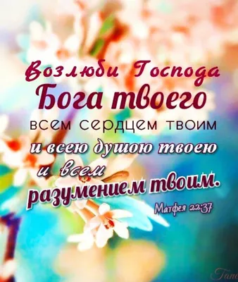 Стихи из Библии - ✝️От Иоанна 8:10-11 (стихи из Библии) 10... | Facebook