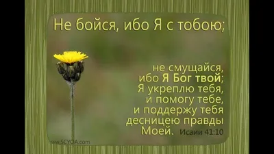 Пин от пользователя Натали Григерман на доске А Библейские стихи, пожелания  | Христианские цитаты, Библейские цитаты, Христианские картинки