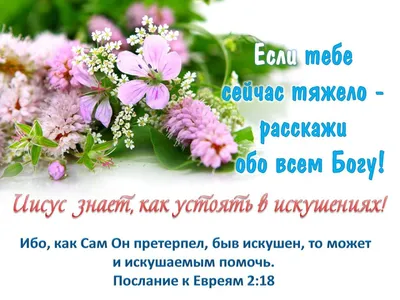 Стихи из Библии - ✝️Иакова 2:26 (стихи из Библии) Ибо, как тело без духа  мертво, так и вера без дел мертва. | Facebook