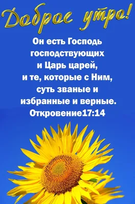 Купить Настольный календарь 2023: Золотые стихи Библии /домик/ в  христианском интернет-магазине Время благодати