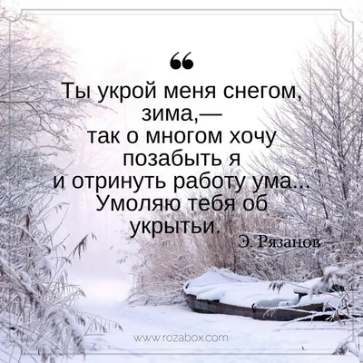 Лучшие стихи великих поэтов о зиме Ты укрой меня снегом, зима… Ты укрой  меня снегом, зима,— так о многом хочу позабыть… | Стихи, Позитивные цитаты,  Правдивые цитаты