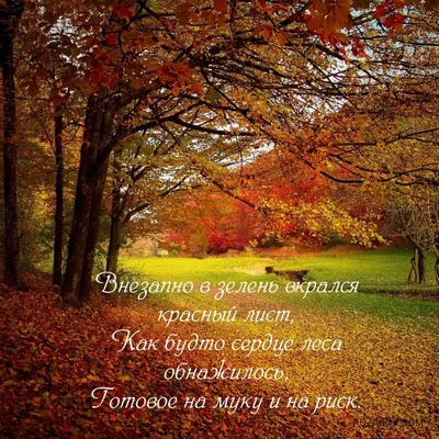 Осенние открытки со стихами - RozaBox.com