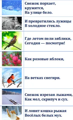 Дидактическое пособие по развитию речи «Стихи в картинках» мнемотаблицы (7  фото). Воспитателям детских садов, школьным учителям и педагогам - Маам.ру