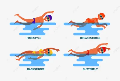 брасс и вольный стиль баттерфляем на спине PNG , атлет, Плавать, плавание  на спине PNG картинки и пнг рисунок для бесплатной загрузки