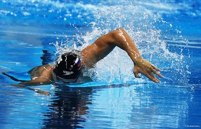 Спортивное плавание - Спортивное плавание - Спорт - Закаливание -  Закаливание детей и взрослых. Здоровый образ жизни