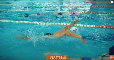 Стили и виды плавания | SwimGURU