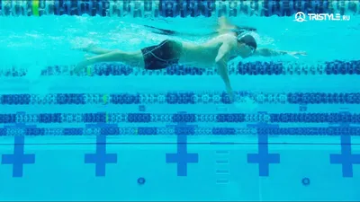 Саженки стиль плавания - 60 фото