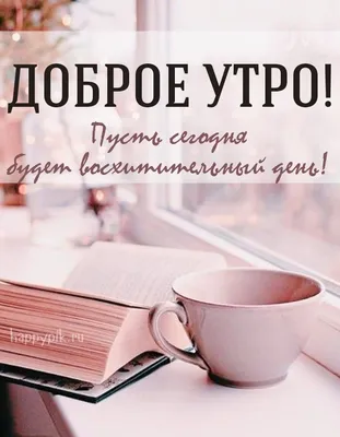 Идеи на тему «Доброе утро» (55) | доброе утро, утренние цитаты, открытки