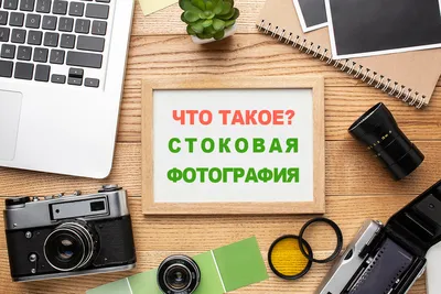 Бесплатные стоковые фото на тему колл центр, обслуживание клиентов, офис,  различный, разнообразие, служба поддержки, смотрит на камеру, счастливый,  улыбка, 客服 中心