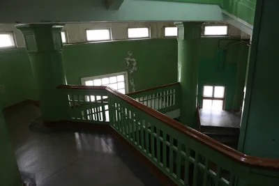 Стоквартирный дом в Новосибирске и стая черных | Типичный Новосибирск