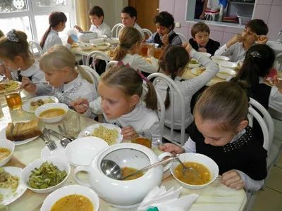 концепция \"шведский стол\". школьные столовые дают еду детям. студенты  обедают в кафе. время обеда Иллюстрация вектора - иллюстрации насчитывающей  удерживание, шарж: 231282722