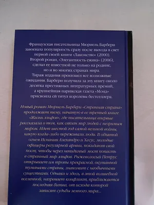 странная тропинка в лесу ночью, картинка леса с привидениями фон картинки и  Фото для бесплатной загрузки