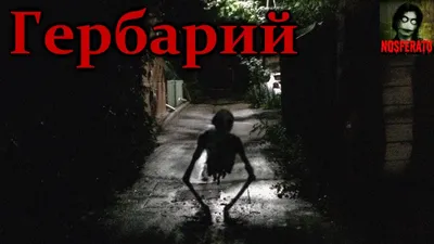 Страшные истории на ночь (NOSFERATU) (ПЕРЕЗАЛИВЫ) – смотреть онлайн все 25  видео от Страшные истории на ночь (NOSFERATU) (ПЕРЕЗАЛИВЫ) в хорошем  качестве на RUTUBE