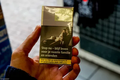 Эксперты: устрашающие картинки на пачках сигарет в РФ снизят спрос - РИА  Новости, 12.05.2012