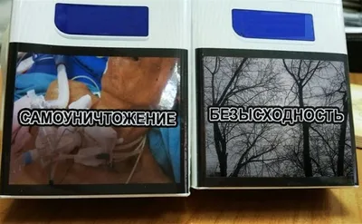 Страшные» картинки будут занимать не менее 50% сигаретных пачек - Новости  Тулы и области - MySlo.ru