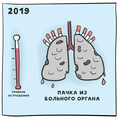 Надписи и картинки: помогают ли бороться с курением страшные упаковки  сигарет | Национальные проекты России