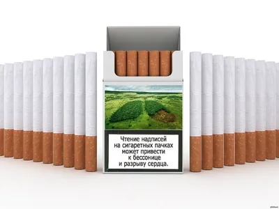 Как предупреждал Минздрав. История «тревожных наклеек» на сигаретах | Фото  | Общество | Аргументы и Факты