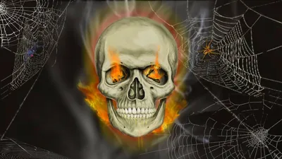 Создать мем \"horrible death, скелет картёжник, страшные обои на телефон\" -  Картинки - Meme-arsenal.com