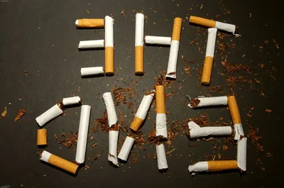 Отказ от курения сигарет улучшил психическое здоровье: Здоровье: Наука и  техника: Lenta.ru