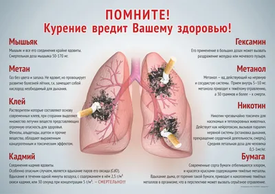 Курение вызывает онкологию и бесплодие: на пачках с сигаретами изменят  страшные картинки, чтобы приблизить Украину к ЕС