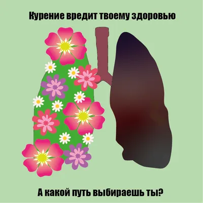 В России увеличат «страшные картинки» на пачках сигарет › BALTIC NEWS |  Калининград