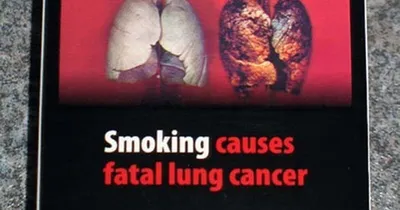 Ученые считают, что «страшные картинки» на пачках не влияют на привычку  курить | Записки про табак | Дзен