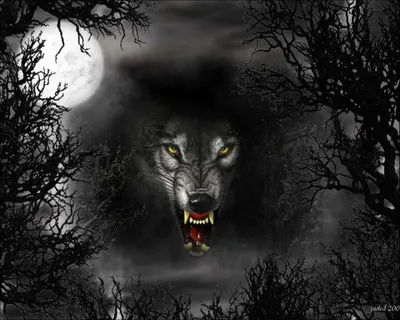 Страшный волк - Обои на рабочий стол — скачай бесплатно