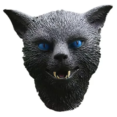 Картинки коты страшные черные глаза животное 3840x2400
