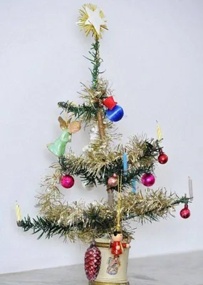Жителя Карачева возмутила страшная новогодняя елка