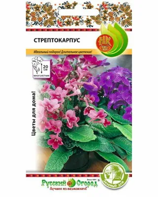 Изображение Стрептокарпуса, который напоминает нам о важности сохранения природы