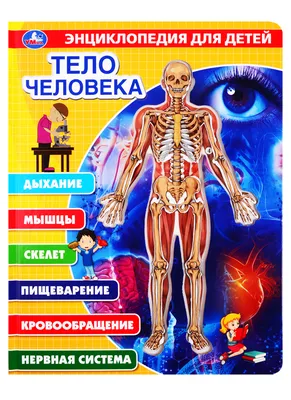 ТЕМАТИЧЕСКАЯ ПОДБОРКА \" ТЕЛО ЧЕЛОВЕКА\" | Я - воспитатель | Дзен