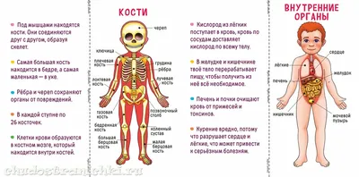 Об этих чудесах человеческого тела вы точно не знали | 01.04.2022, ИноСМИ