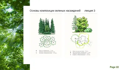 РАЗВИВАЮЩАЯ ИГРА «С какого дерева листок?» – купить за 290 руб | Монтессори  Кроха