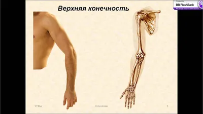 Картинка руки человека: абстрактное изображение в формате WebP