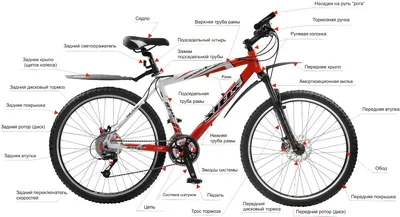 Строение велосипеда в картинках фото