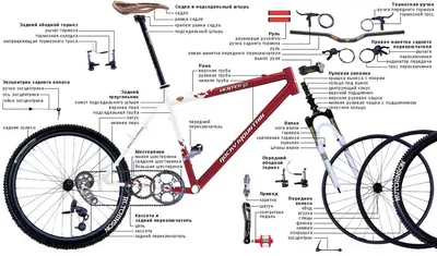 Схема с названиями основных составных частей велосипеда