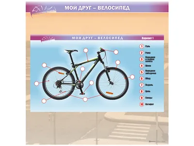 Складной велосипед Aspect Komodo 3 (2023) купить в Химках, цена, фото в  интернет-магазине ВелоСтрана.ру