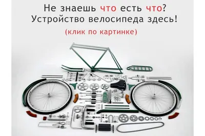 Foxx Attack 24 (2021) | Купить велосипед недорого в Минске с доставкой по  всей Беларуси
