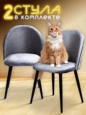 Стулья для кухни купить в Минске недорого, цена кухонных стульев