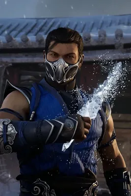 Mortal Kombat - Sub Zero - high quality 11 x 17 digital print – Greg Horn  Art